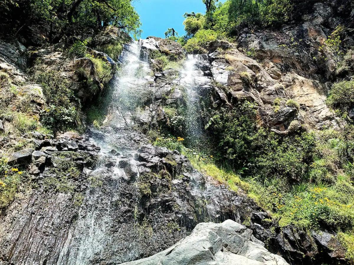 Cabana Para Pareja En El Bosque Ib Acaxochitlan Bagian luar foto
