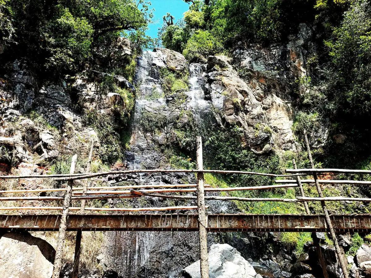 Cabana Para Pareja En El Bosque Ib Acaxochitlan Bagian luar foto