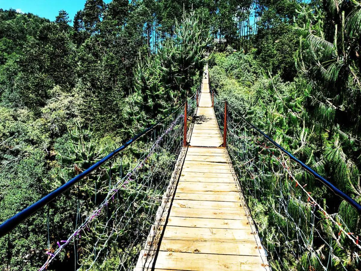 Cabana Para Pareja En El Bosque Ib Acaxochitlan Bagian luar foto